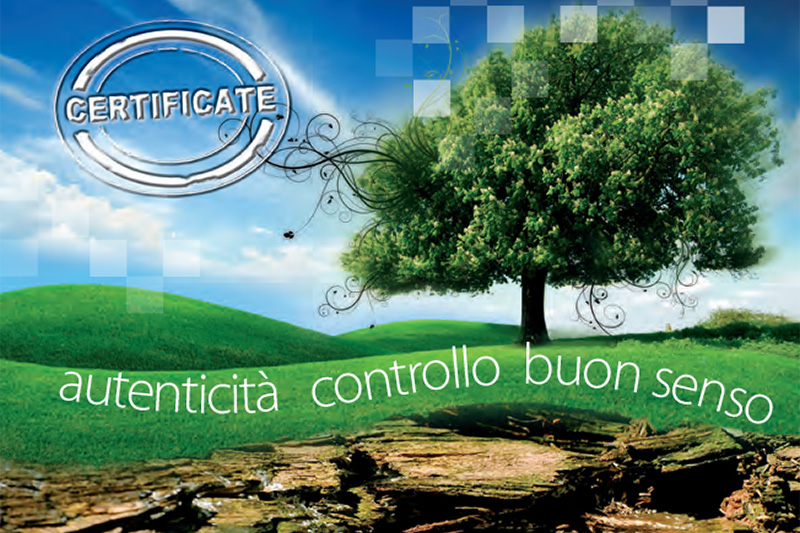 Grafica-KC